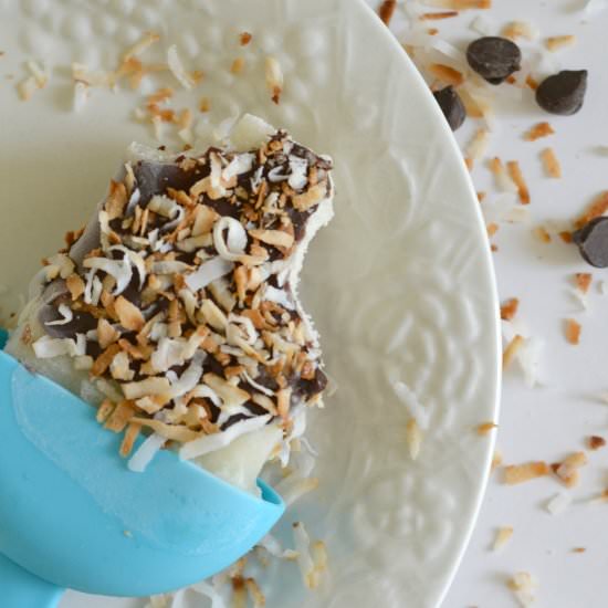 Almond Coconut Ice Cream Bars - Recipe photo by Shari Lynne