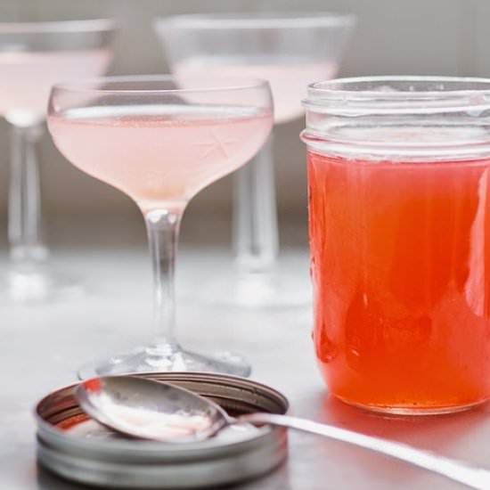 Rhubarb Shrub Sparklers - Recipe photo by Feasting at Home