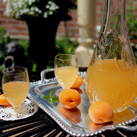 Home made apricot liquor - Recipe photo by Happy