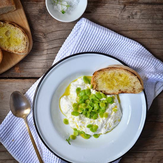 Fava Bean and Ricotta Insalata - Recipe photo by roseandivyjournal