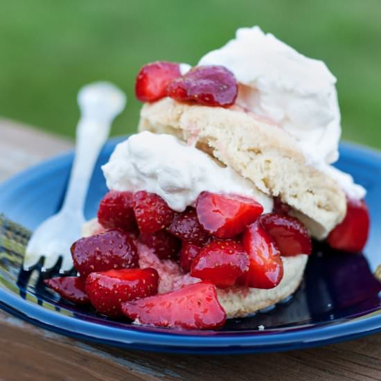 Strawberry Shortcake - Recipe photo by alialamode