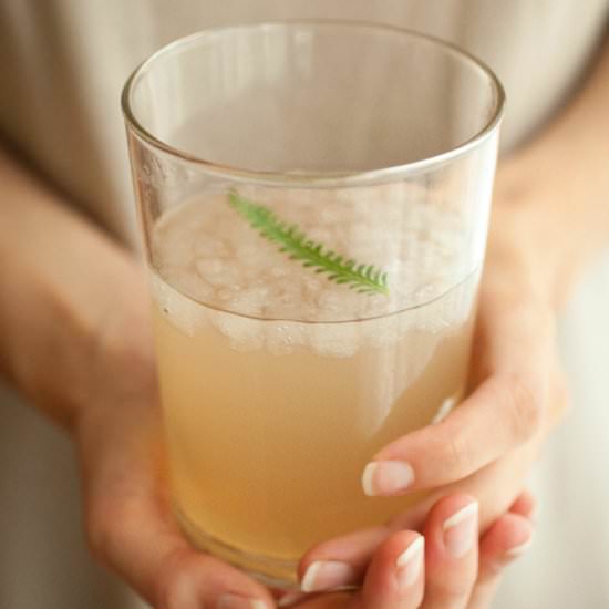 Lavender Rhubarb Shrub - Recipe photo by ProduceonParade
