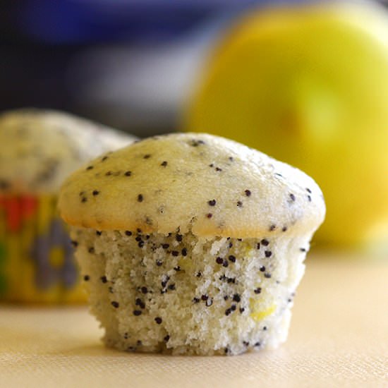 Vegan Lemon Poppy Seed Muffins - Recipe photo by madhuram