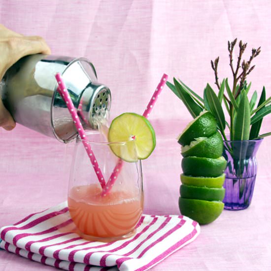 Watermelon Lime Gin Fizz - Recipe photo by saltandserenity