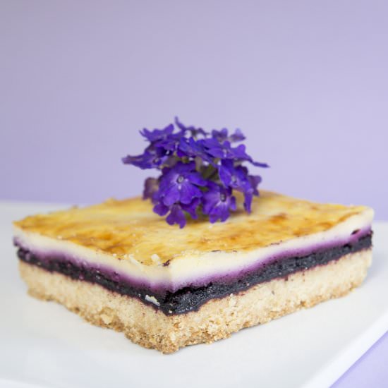 Blueberry Cheesecake - Recipe photo by lesfriandsdlise