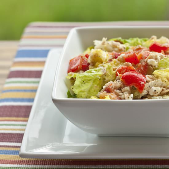 5 Minute No Cook Lunch Salad - Recipe photo by LowCarbHighFatRecipes.com