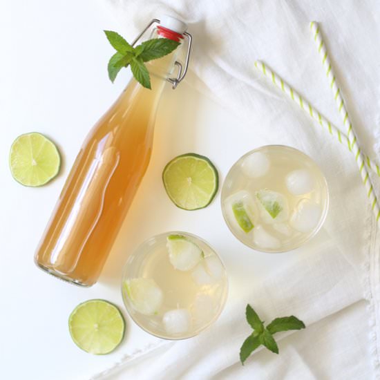 Mint Lime Syrup - Recipe photo by kleinechaoskueche