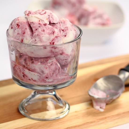 Vegan Coconut Berry Swirl Ice Cream - Recipe photo by Barbaracooks