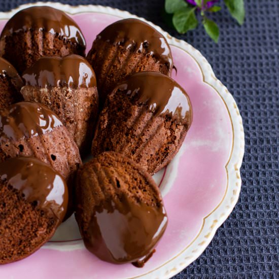 Chocolate Madeleines - Recipe photo by ktphotogirl