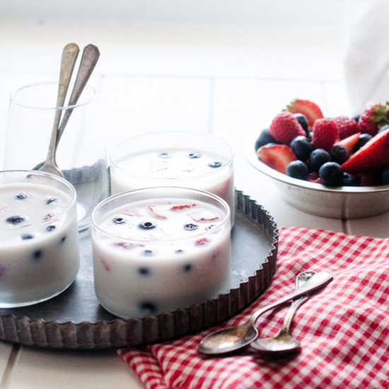 Patriotic Panna Cotta (DF, GF) - Recipe photo by sweet-treats-baking