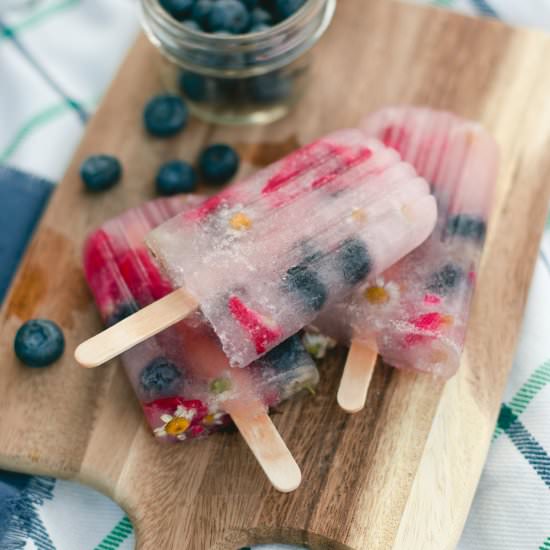 Berry Lemonade Popsicles - Recipe photo by thehousethatlarsbuilt