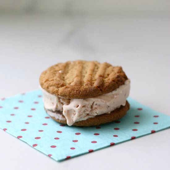 Peanut and Berry Ice Cream Sandwich - Recipe photo by reallyprettyuseful