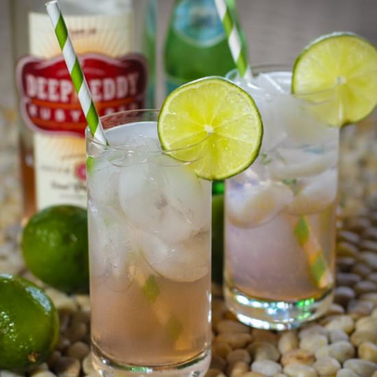 Deep Eddy Ruby Red and Soda - Recipe photo by Will Herman