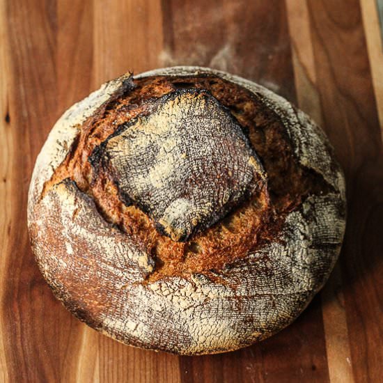 Tartine's Country Loaf - Recipe photo by whatsonmyplate