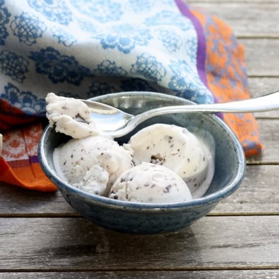 Vegan Mint Chocolate Chip Ice Cream - Recipe photo by dawnkl