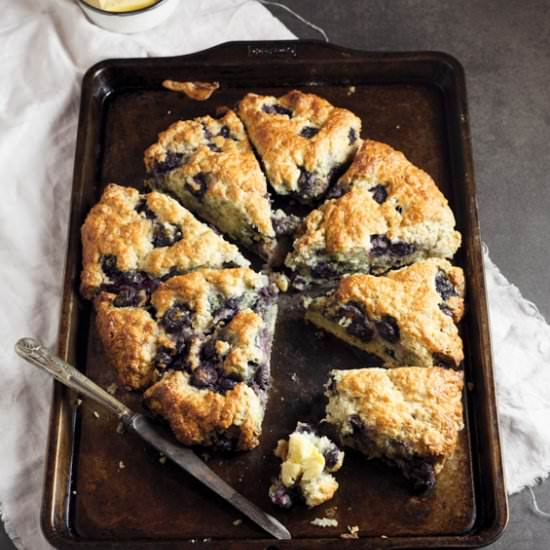Blueberry Lemon Scones - Recipe photo by Simply Delicious