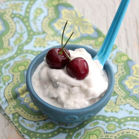 Coconut Milk Ice Cream - Recipe photo by torviewtoronto