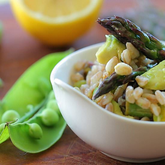 Spelt Green Salad - Recipe photo by BuonaPappa