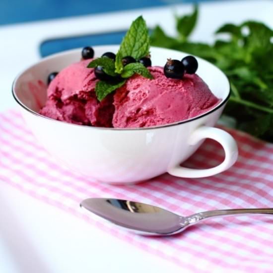 Black Currant Ice Cream - Recipe photo by picantecooking