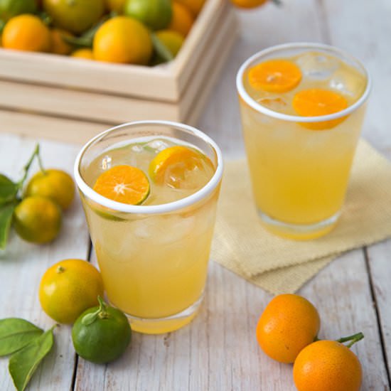 Calamansi Juice - Recipe photo by the little epicurean