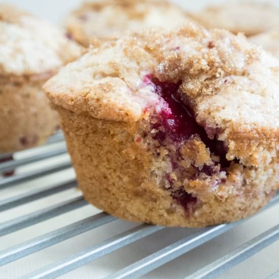 Stone Fruit Muffins - Recipe photo by myutensilcrock