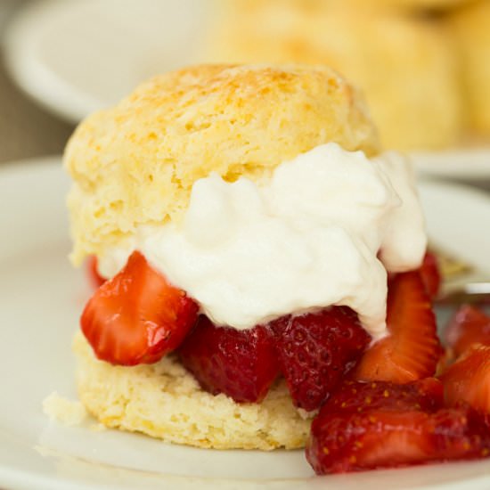 Strawberry Shortcake Recipe - Recipe photo by browneyedbaker