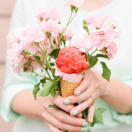 Strawberry rose sorbet - Recipe photo by thehousethatlarsbuilt