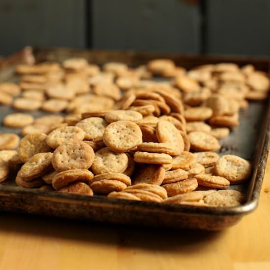 White Pepper Parmesan Coins - Recipe photo by SimpleBites