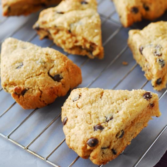 Peanut Butter Chocolate Chip Scones - Recipe photo by aducksoven