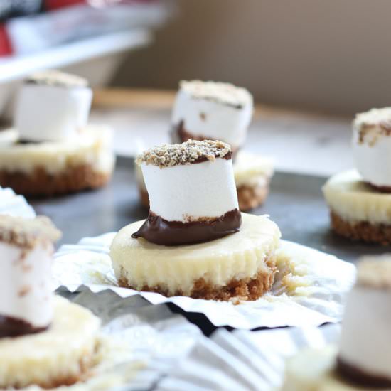 S’mores Cheesecake Ballerina Bites - Recipe photo by First Time Foods