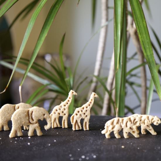 Cinnamon Orange Animal Crackers - Recipe photo by cinemaandspice