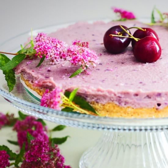 Vegan Cherry Yogurt Pie - Recipe photo by cleanwellness