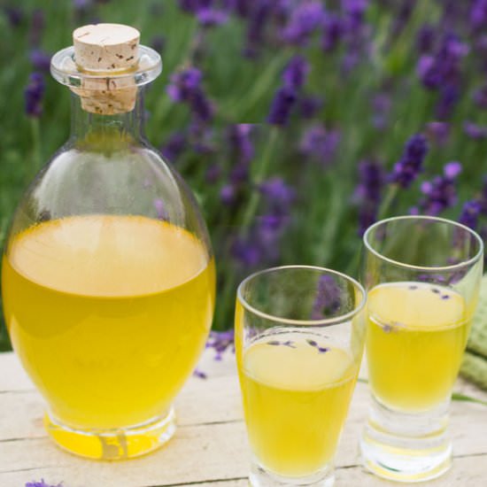 Lavender Limoncello - Recipe photo by nancy baggett-kitchenlane