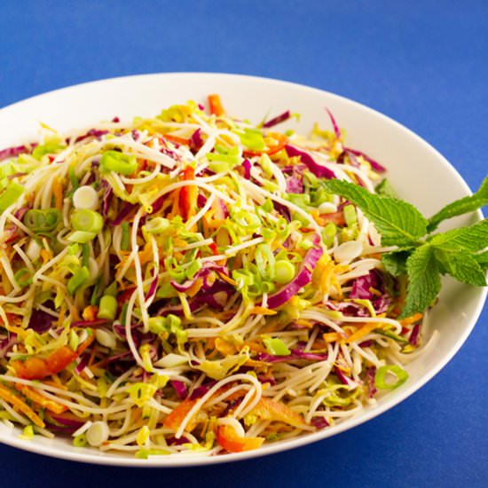 Salad Roll Salad - Recipe photo by passtheplants