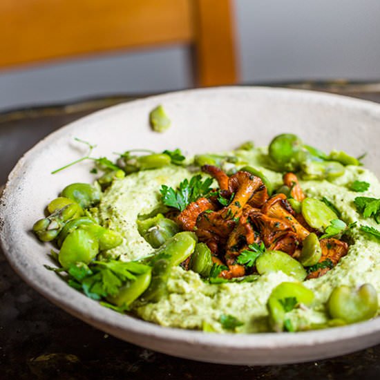 Broad bean hummus with chanterelles - Recipe photo by daretocook