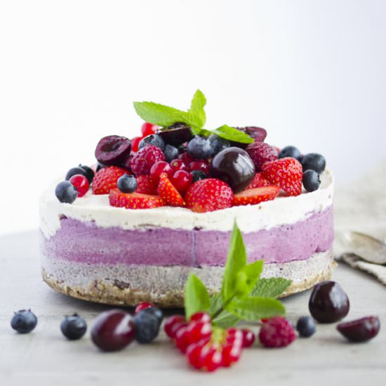 Poppy Seed and Berry Cashew Cake - Recipe photo by Can Caramelo