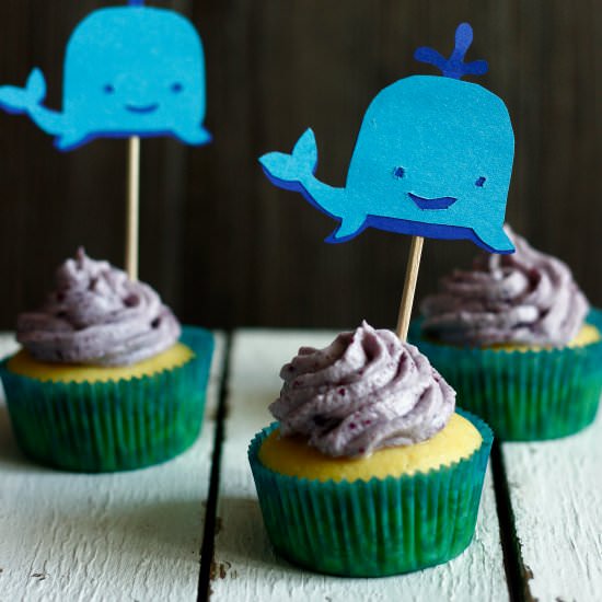 Whale Cupcakes - Recipe photo by transglobalpanparty