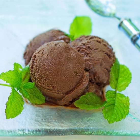 Chocolate-Peppermint Sorbet - Recipe photo by nancy baggett-kitchenlane