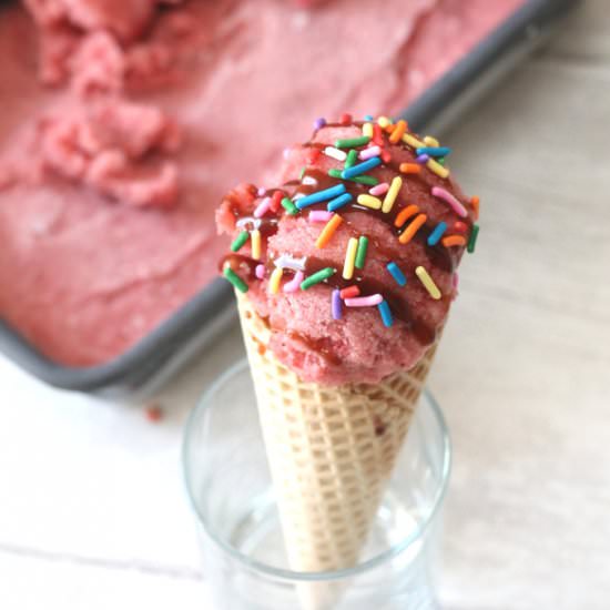 Two Ingredient Vegan Ice Cream - Recipe photo by myfussyeater