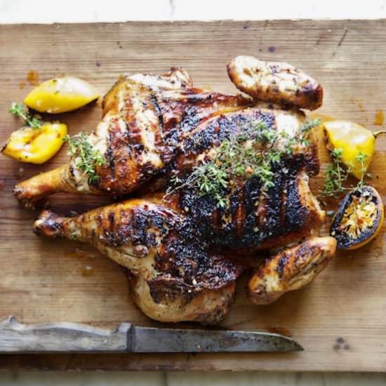 Chicken Alla Diavola - Recipe photo by food52