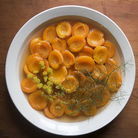 Wine-Poached Apricots - Recipe photo by food52