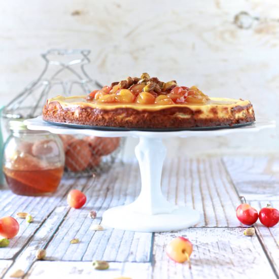 Goat Cheese Cheesecake - Recipe photo by meseidy