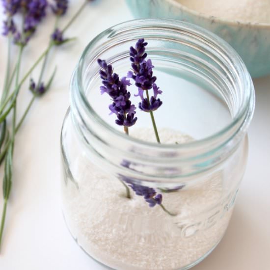 Lavender Infused Sugar - Recipe photo by SatoriDesignForLiving