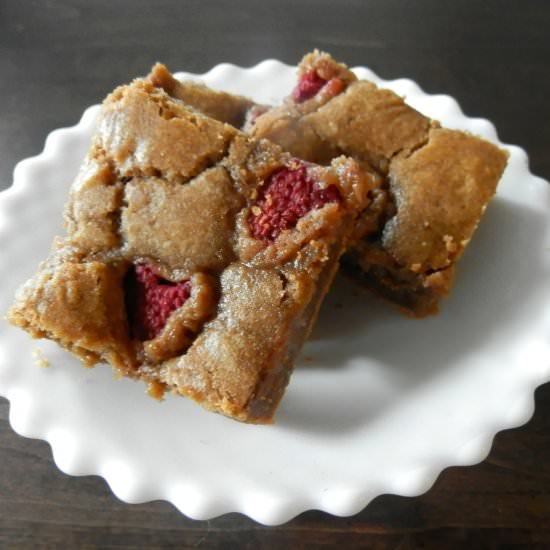 Brown Butter Nutella Raspberry Bars - Recipe photo by thebatterthickens