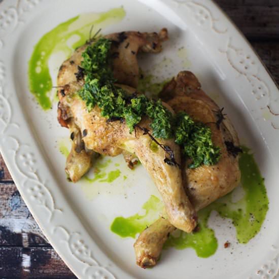 Chicken with Jalapeno Salsa Verde - Recipe photo by thepinkdumpling