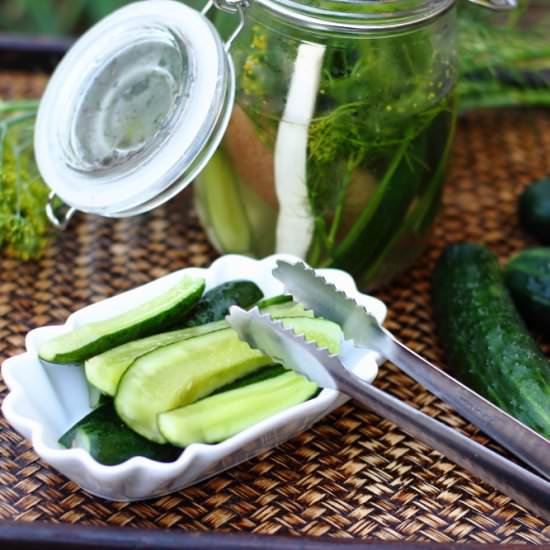 Pickled Cucumbers - Recipe photo by picantecooking