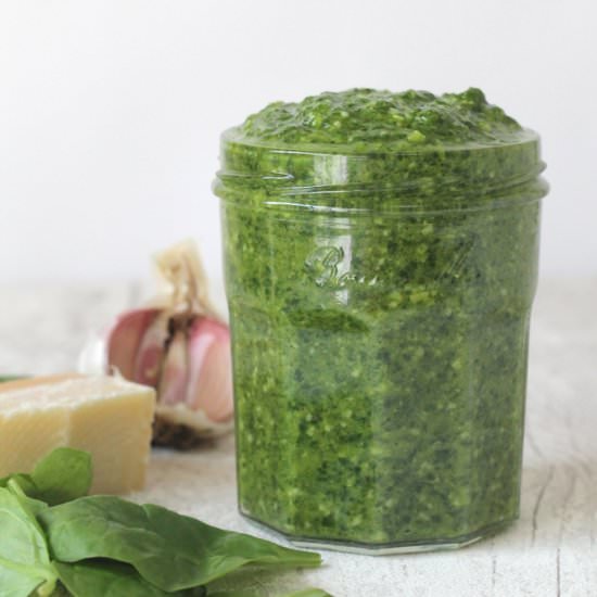 Spinach Pesto - Recipe photo by myfussyeater