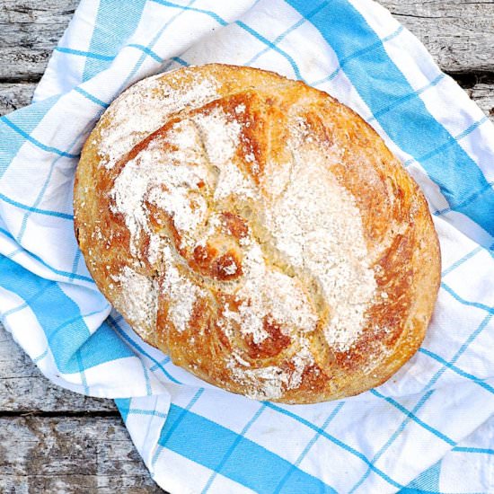 No-knead bread - Recipe photo by silviacucina
