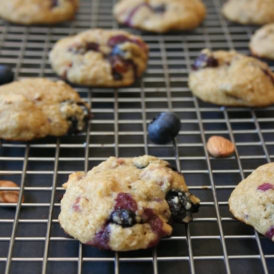 Almond Blueberry Cookies - Recipe photo by fittingintovegan
