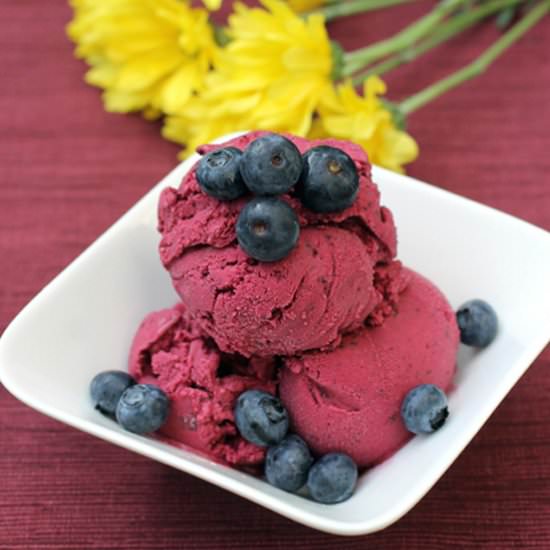 Blueberry Ice Cream - Recipe photo by Food Gal
